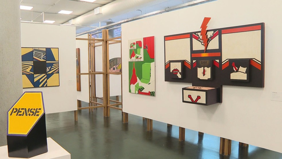 Exposição 'Uma História da Arte Brasileira', no MAM — Foto: Reprodução/TV Globo