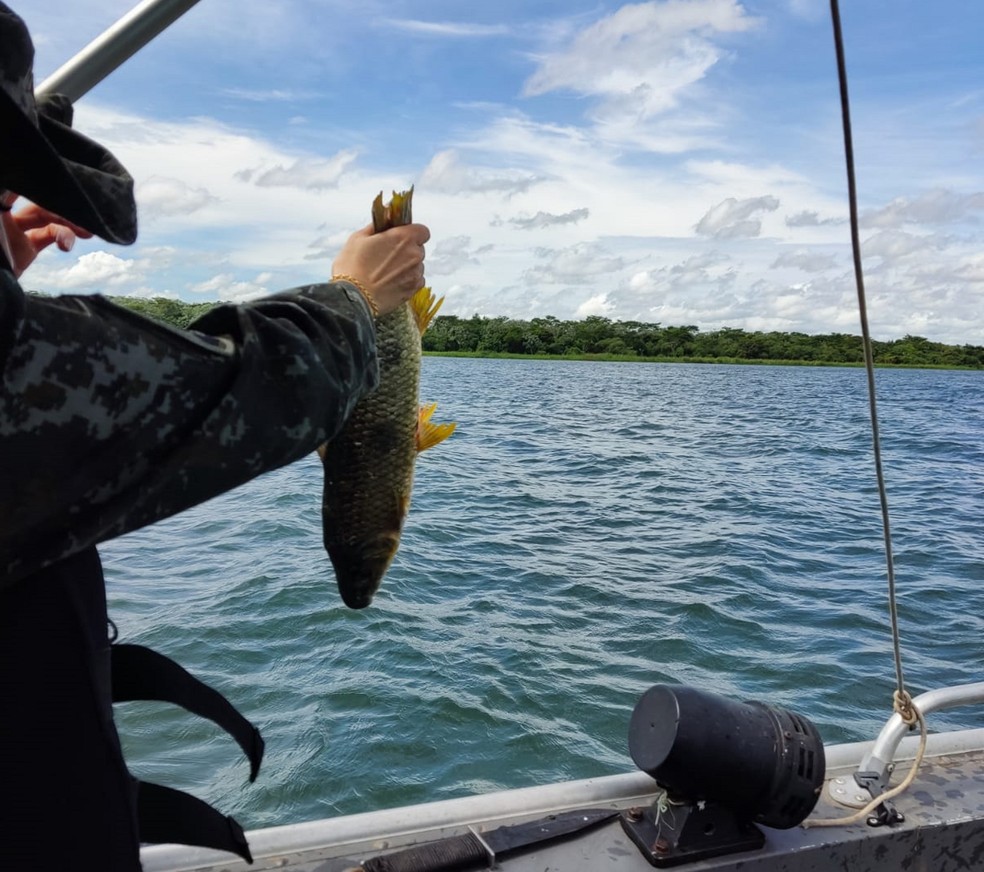 Piracema começa nesta sexta-feira e pesca passa a ter restrições no Norte  de Minas | G1