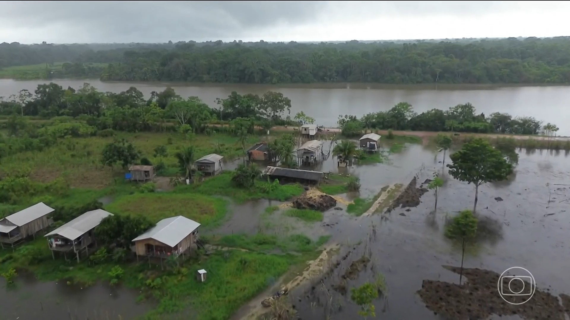Cheia antecipada do rio Purus afeta moradores e produtores rurais no sul do Amazonas
