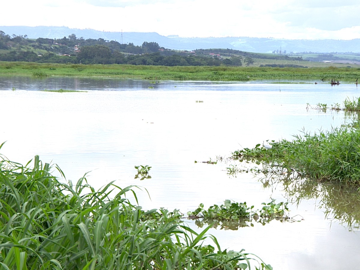 Antibióticos no Rio Piracicaba