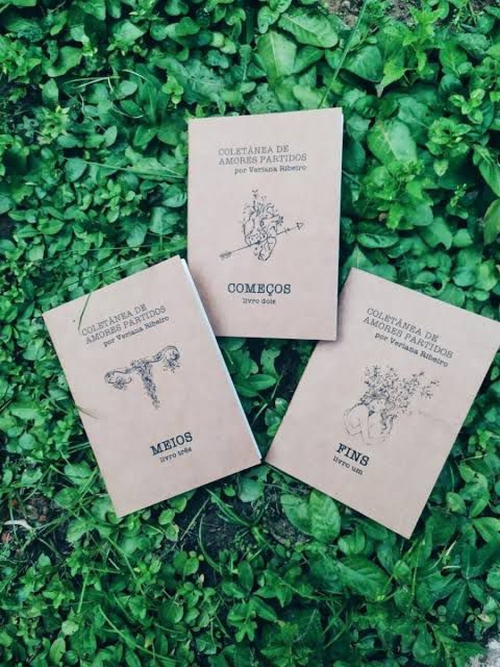 Coletânea reúne poemas sobre amor romântico, relacionamentos abusivos, bissexualidade, feminismo e amor-próprio — Foto: Arquivo pessoal