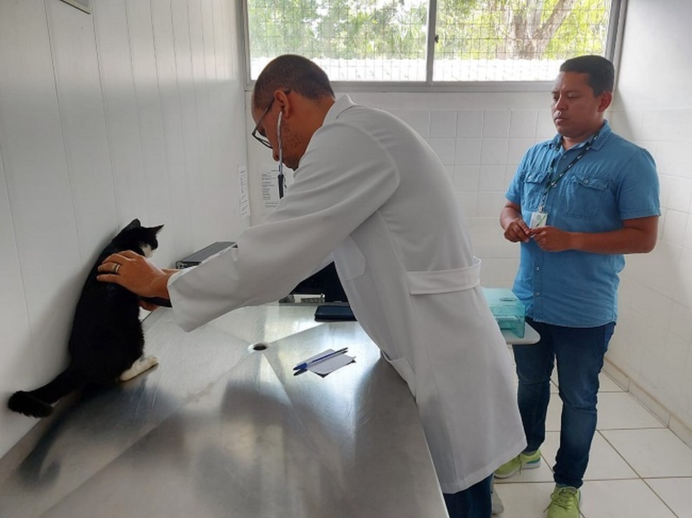 Hospital Regional Costa do Cacau dispõe de suporte adequado de