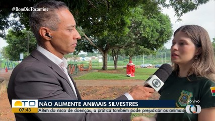 Alimentar animais silvestres pode prejudicar animais; entenda