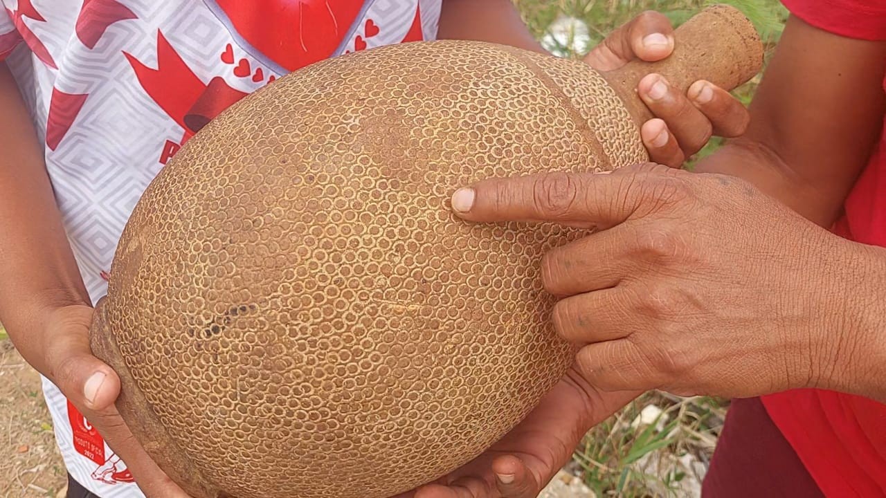 Cerâmicas milenares são encontradas em sítio arqueológico no Amazonas