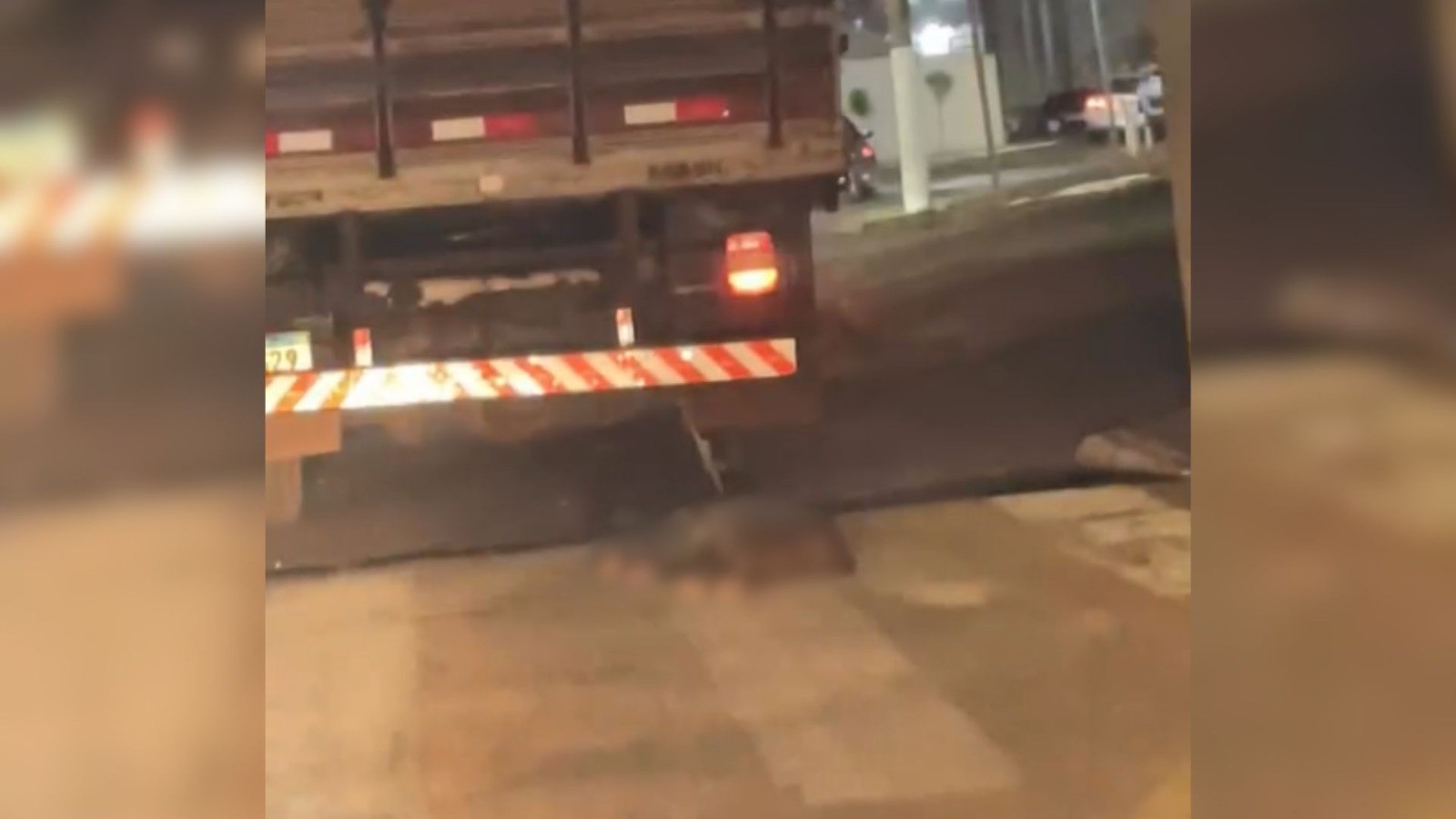 Caminhoneiro é investigado por arrastar cachorro em avenida do interior de SP
