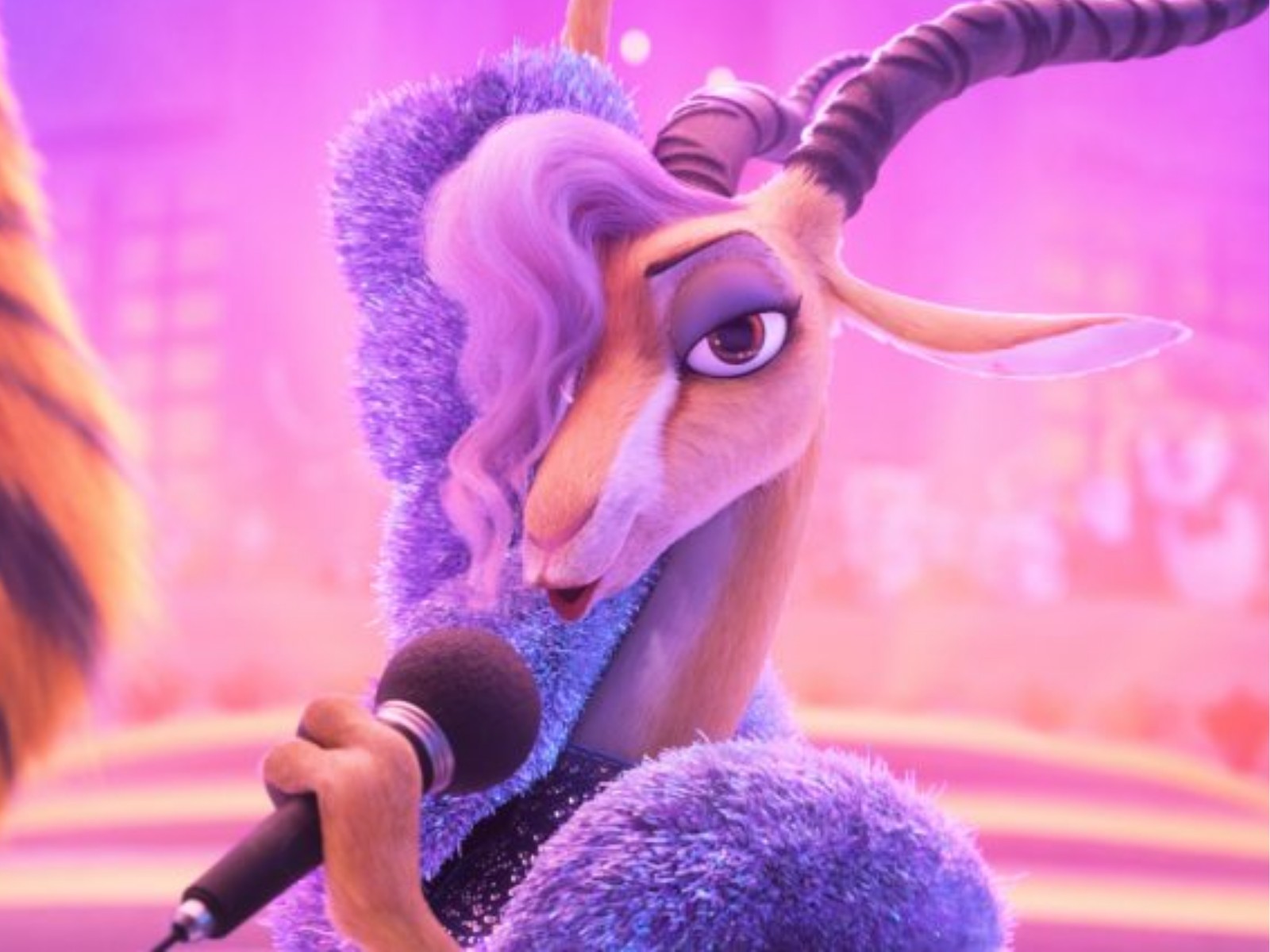 'Zootopia 2' estreia no cinema de Rio Branco; veja a programação