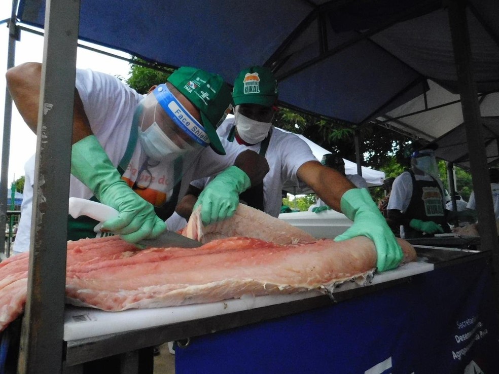 Cerca de 1,5 tonelada deve ser disponibilizada para venda durante a feira — Foto: Sapopema / Divulgação