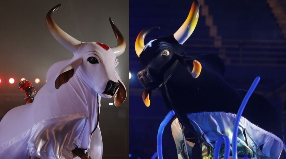 Garantido e Caprichoso se apresentaram durante o lançamento do 58º Festival de Parintins na Ilha Tupinambarana. — Foto: Divulgação