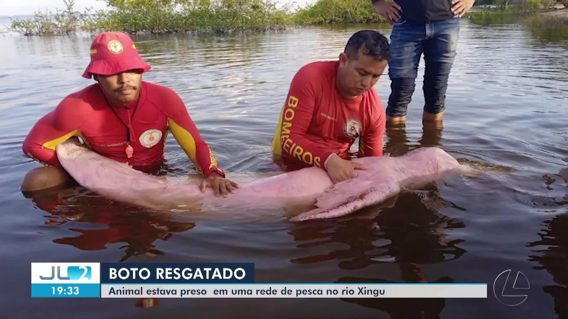 VÍDEOS: JL2 de sábado, 19 de julho de 2025