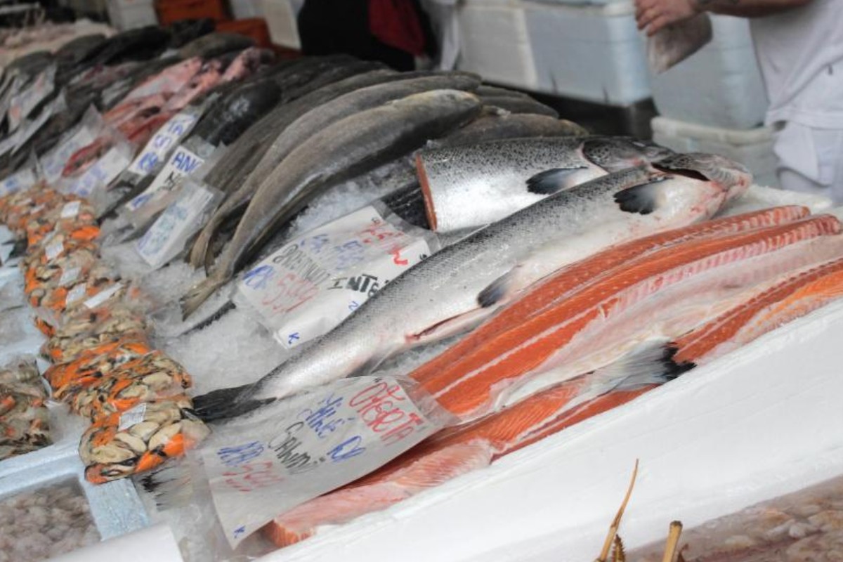Festival do Salmão movimenta Mercado de Peixes em Santos; veja até quando