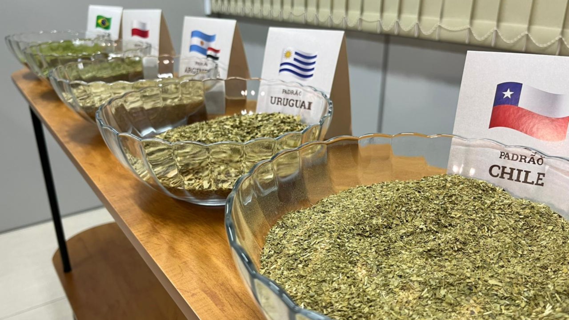 Indústria gaúcha exporta 460 mil quilos de erva-mate por mês para Síria