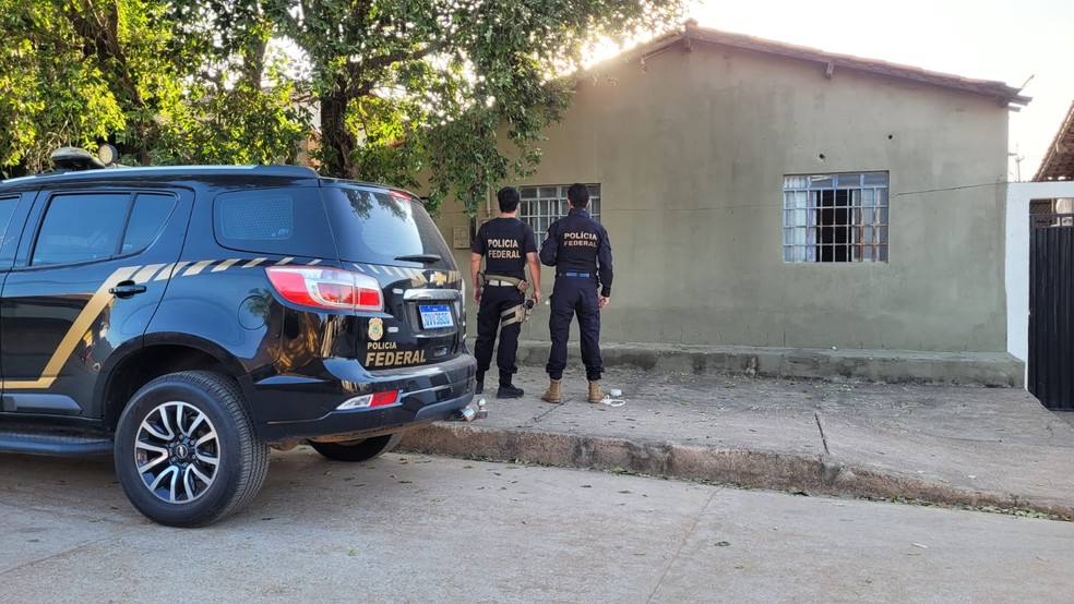 De acordo com a PF, o esquema utilizava declarações falsas de aptidão ao Programa Nacional de Fortalecimento da Agricultura Familiar (Pronaf), emitidas em nome de pessoas sem vínculo com a agricultura familiar. — Foto: Polícia Federal