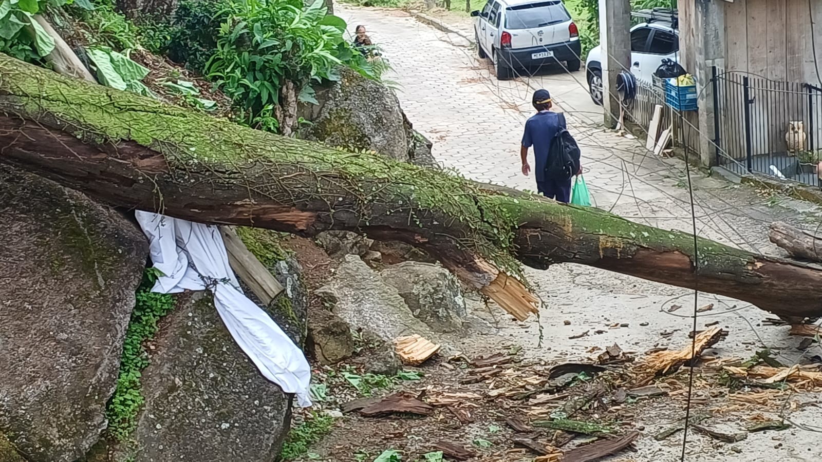 Após confirmação de 3 tornados, SC segue com ventos fortes e registra mais estragos neste sábado