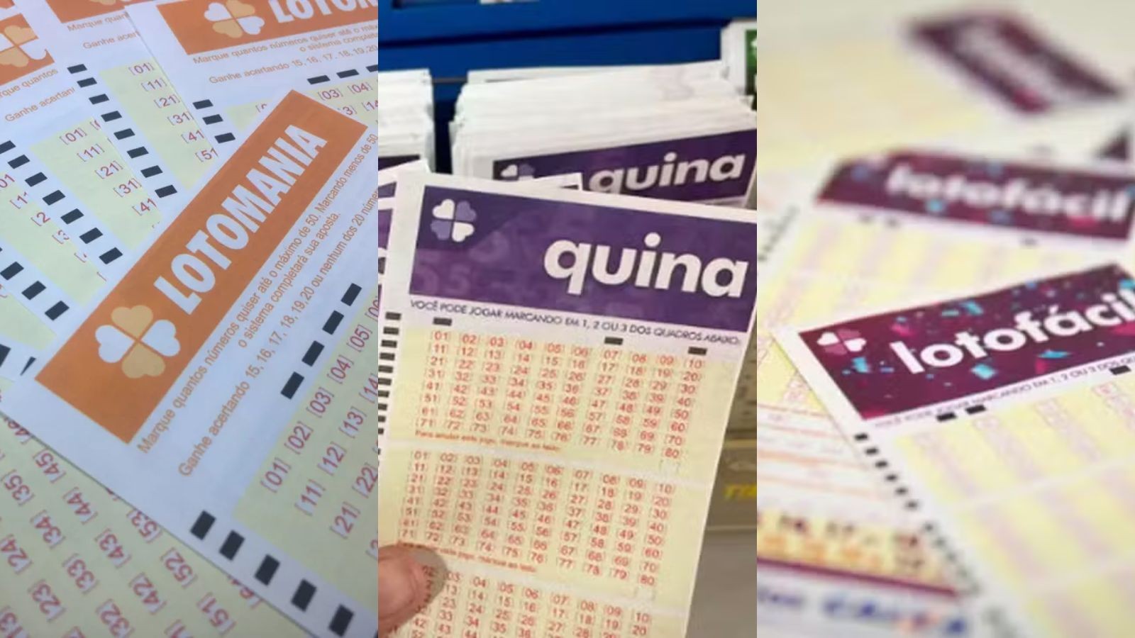 Lotomania: três apostas acertam 19 números no PI e ganham prêmio; veja valores