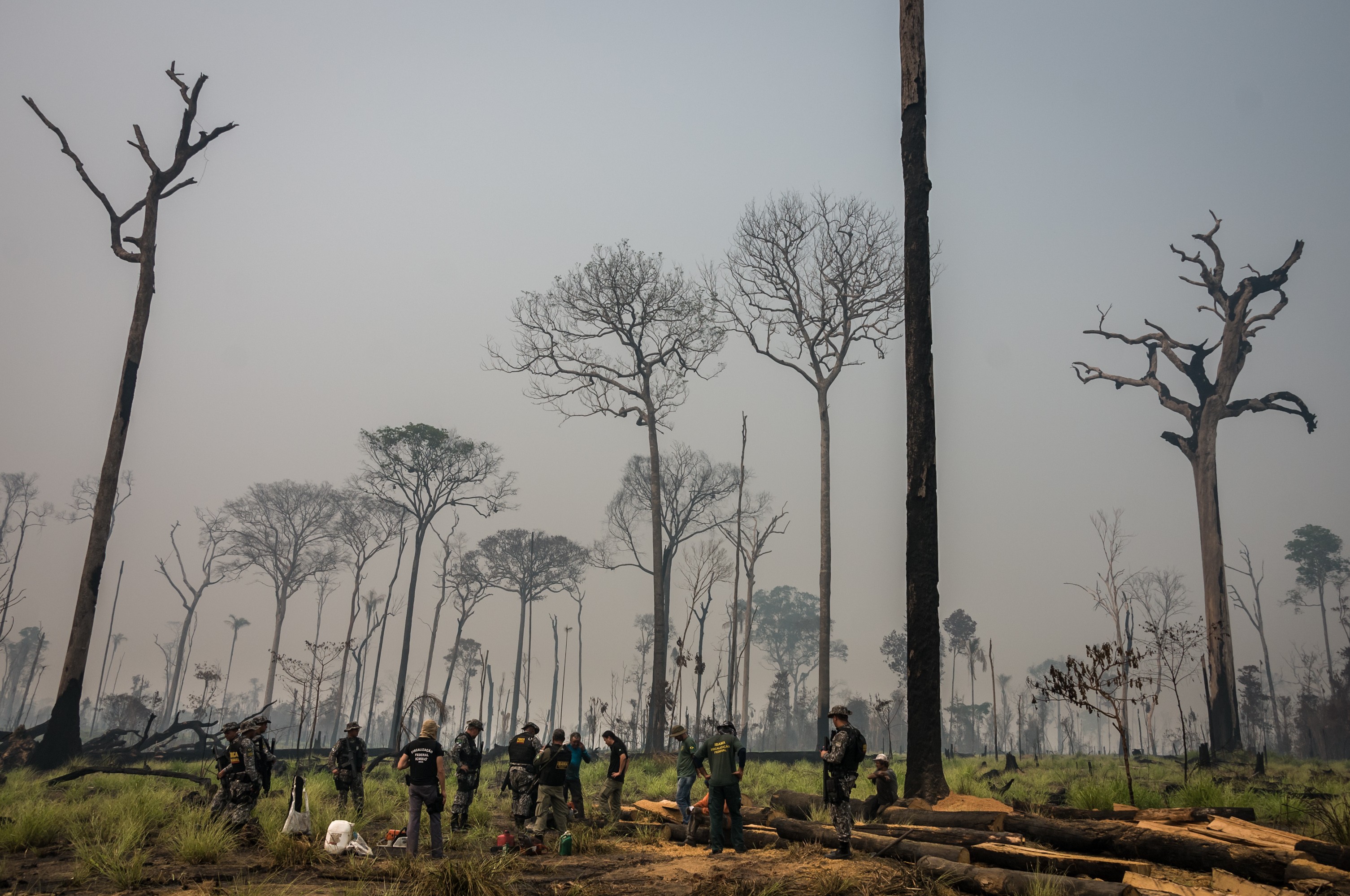 AGU cobra R$ 635 milhões de infratores ambientais por danos climáticos no Pará