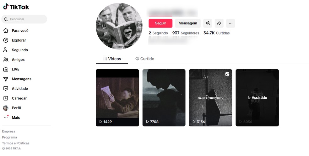 Perfil no TikTok dedicado a conteúdo nazista. — Foto: Reprodução/TikTok