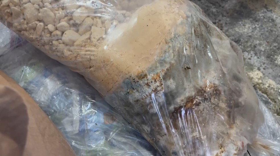 Produtos lácteos em más condições encontrados em depósito clandestino — Foto: Vítor Rosa/RBS TV