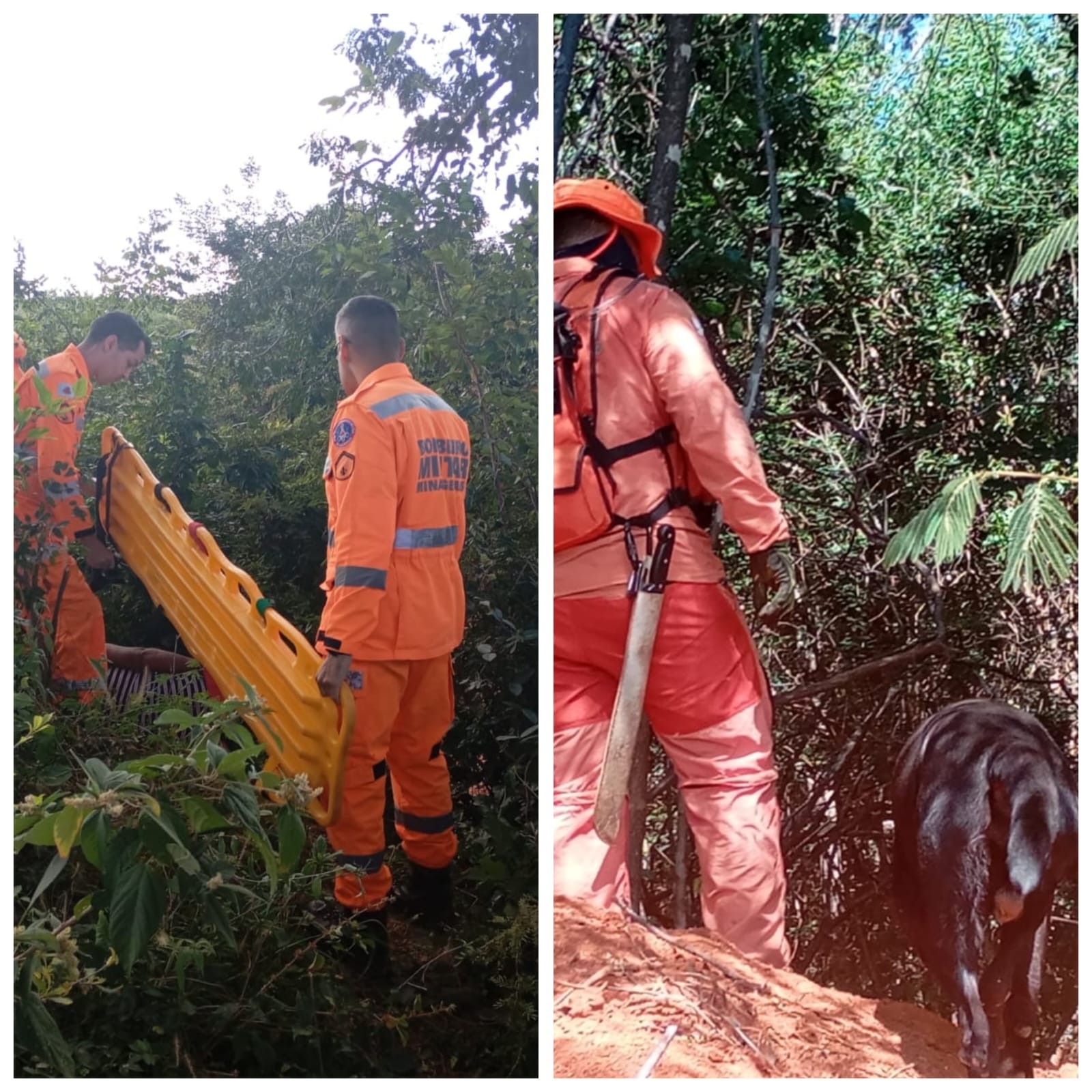 Com auxílio de cão farejador, bombeiros encontraram mulher desaparecida em área de mata em Francisco Sá