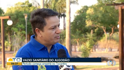 Vazio sanitário do algodão começa na próxima sexta-feira (20)