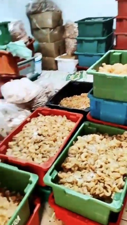 Cliente sofre prejuízo de cerca de R$ 4 milhões em 'golpe do pescado'; polícia desarticula grupo em AL e PE