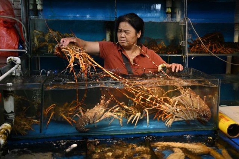 A China é o principal comprador de frutos do mar do Japão — Foto: Getty Images/Via BBC