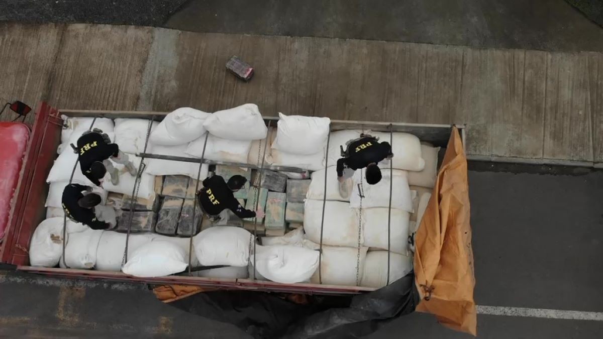 Quase uma tonelada de maconha é apreendida escondida sob carga de ração na BR-386
