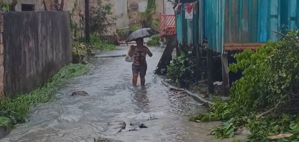 Chuva causou estragos na Zona Sul de Manaus. — Foto: Redes Sociais