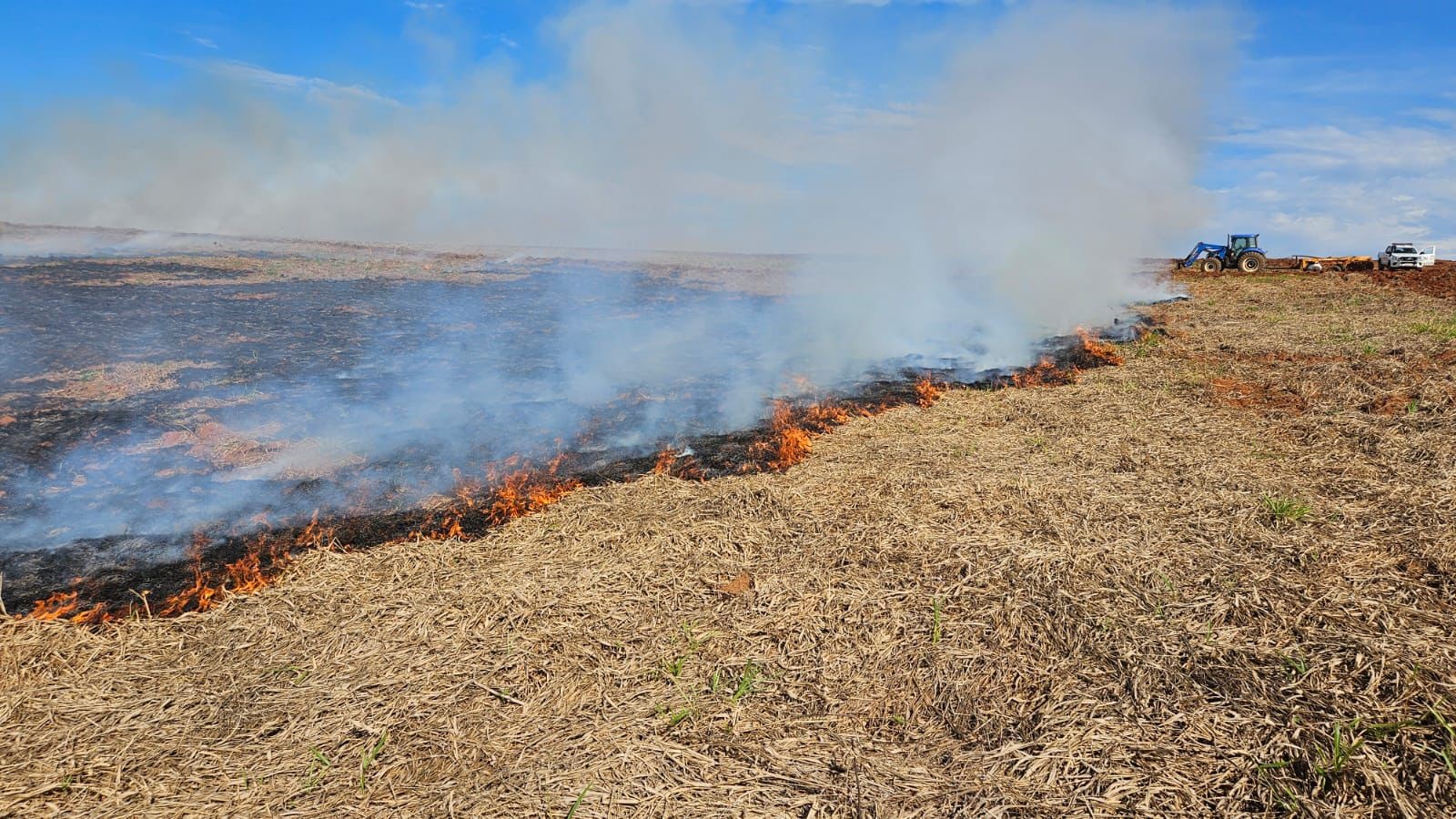 Arrendatário de fazenda leva multa de R$ 77 mil após queimada atingir vegetação em área de 25 hectares, em Presidente Epitácio