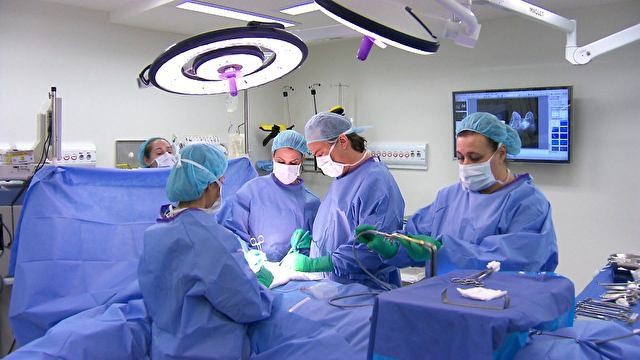 Bahia registra aumento de 47,44% no número de mamoplastias redutoras realizadas pelo SUS; saiba onde e como fazer 