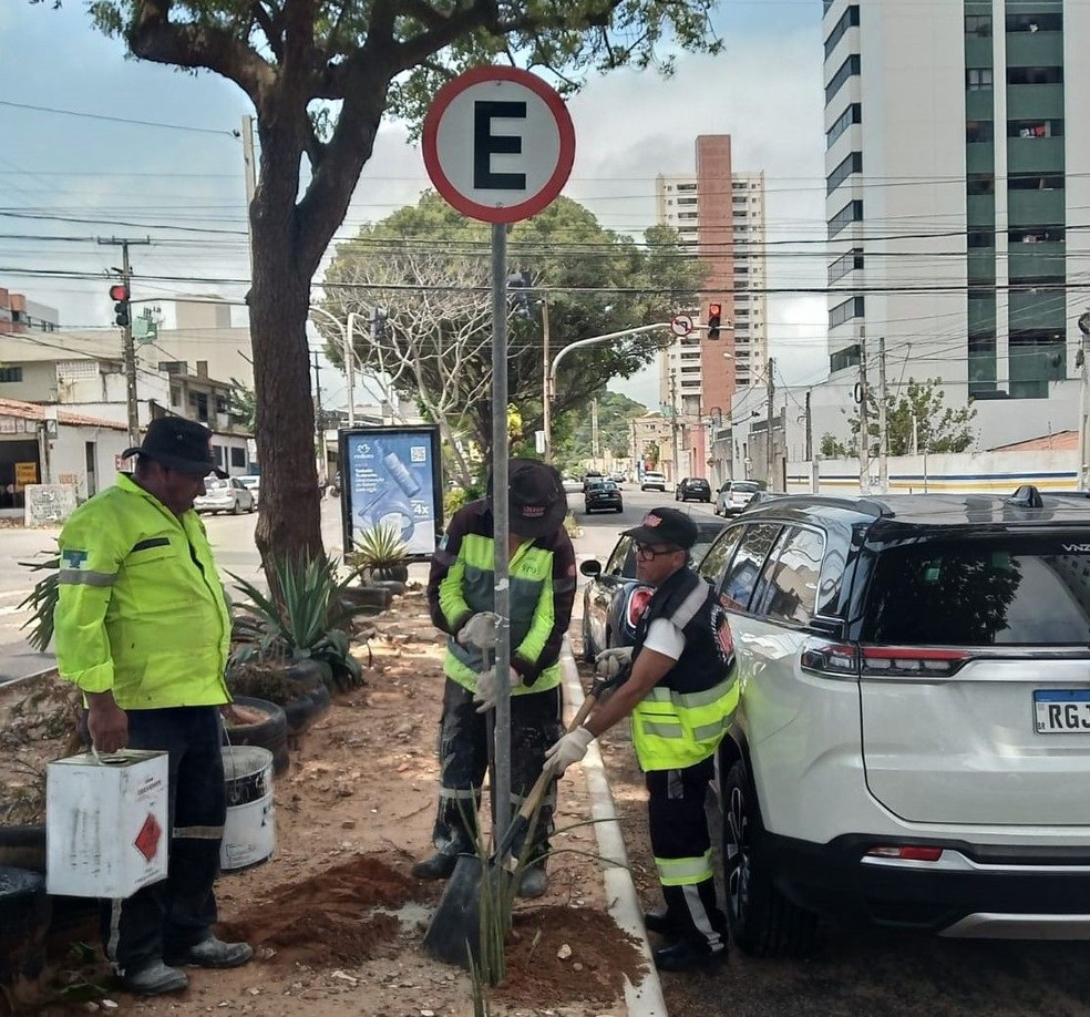 STTU libera estacionamento em canteiro central de avenida de Natal — Foto: STTU/Divulgação