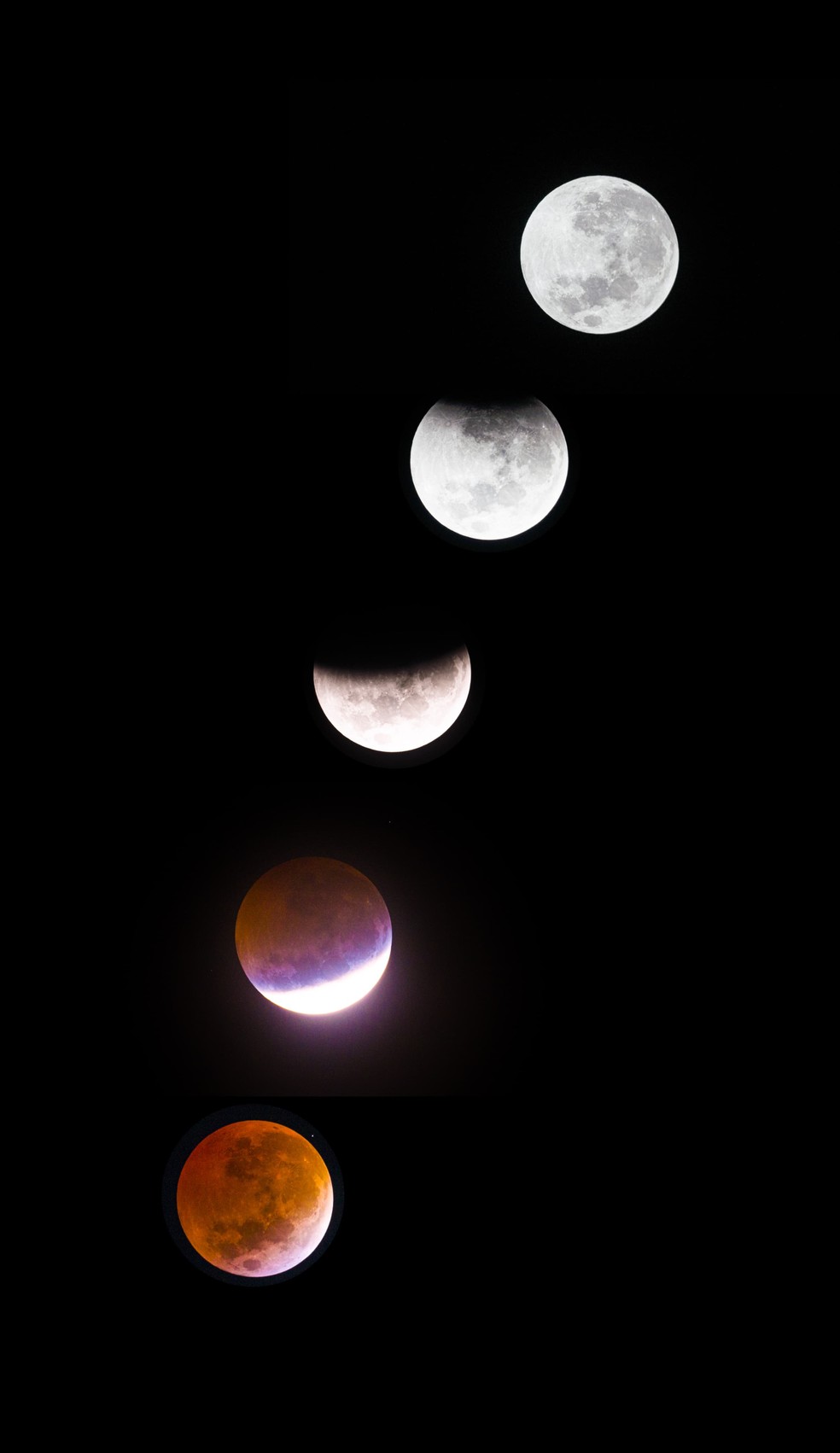 Eclipse da lua é visto em cidades do interior de Pernambuco. — Foto: Associação Astronomica de Arcoverde