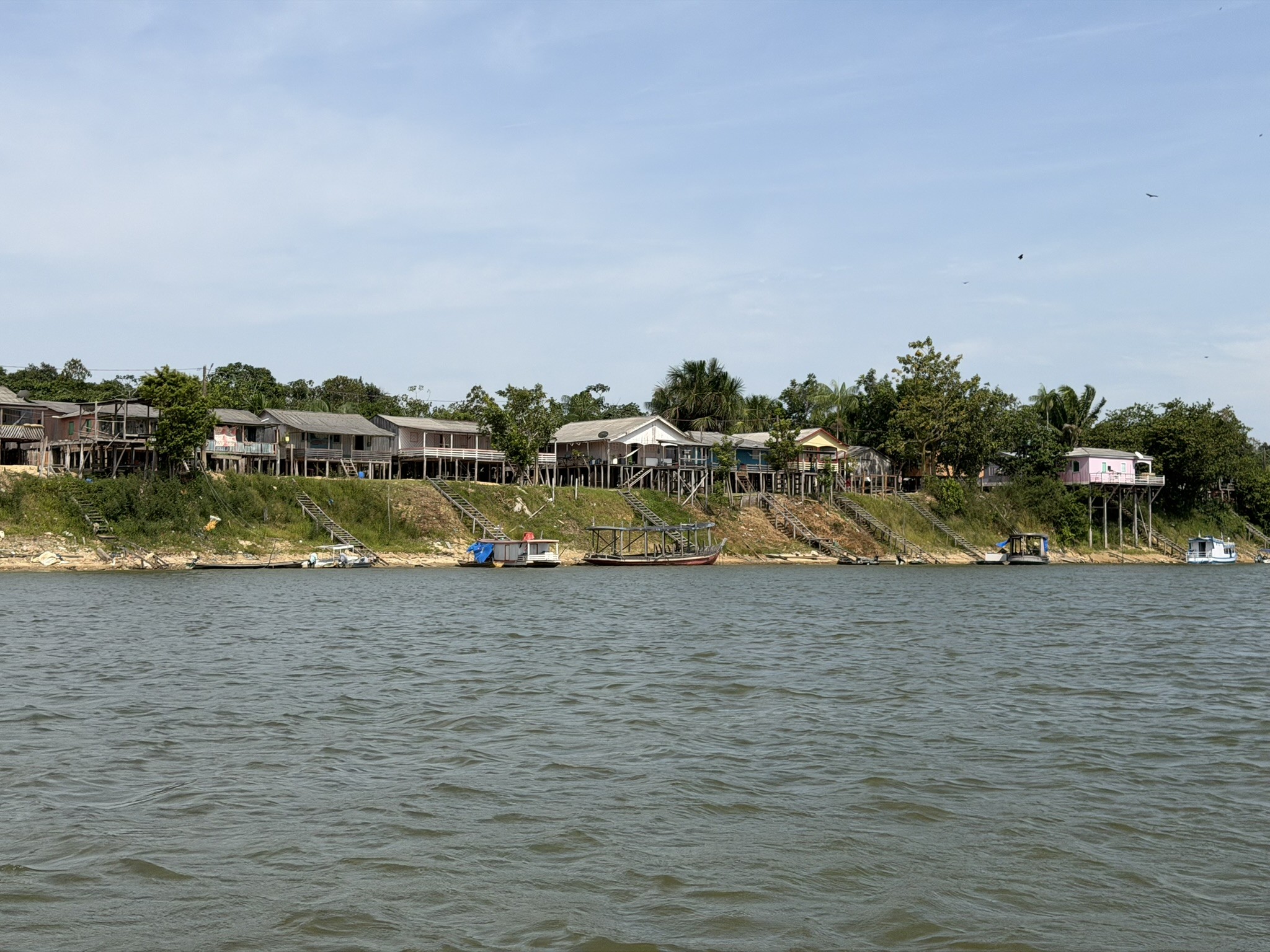 Comunidade ribeirinha muda trajetória e se torna aliada na proteção das tartarugas-da-Amazônia