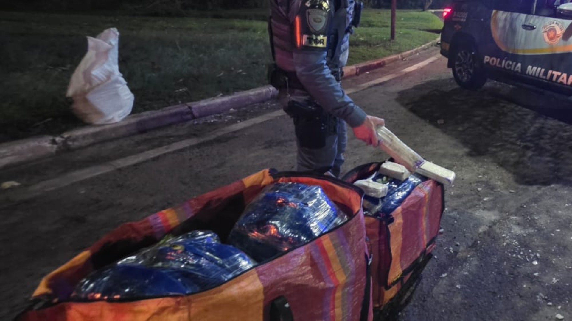 Bolivianos são presos com mais de 60 kg de folhas de coca em rodovia no interior de SP