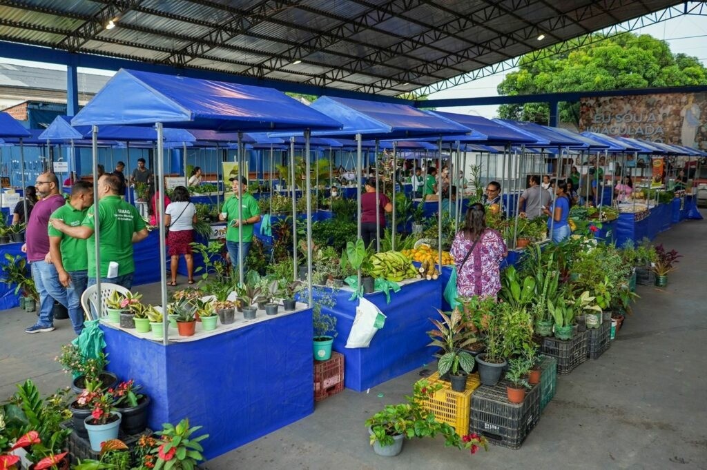 Feira de Agricultura e Arte acontece neste sábado (1º), em Macapá