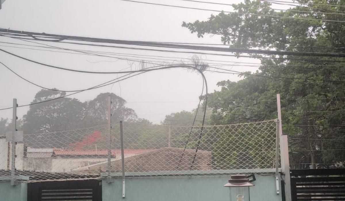 VÍDEO: homem escala poste e tenta arrancar cabos de telecomunicação em Campinas