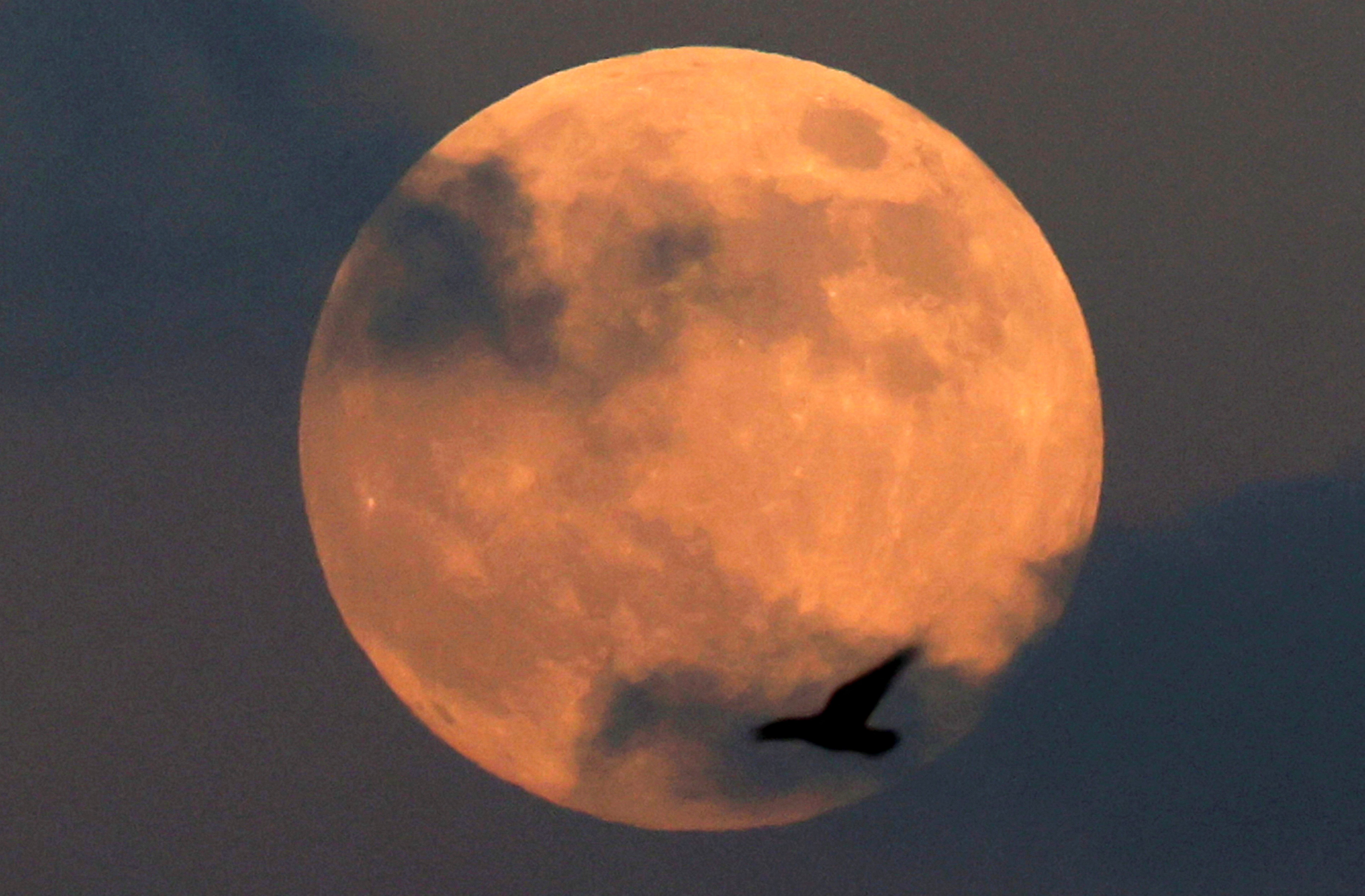 veja quando a Lua muda de fase e os principais eventos do mês — Calendário lunar de novembro