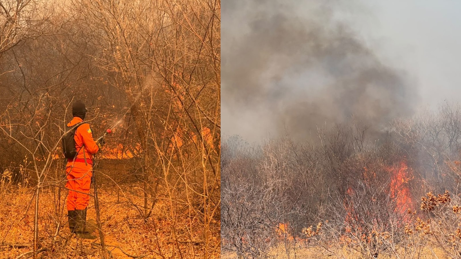 Incêndios em áreas de vegetação mobilizam equipes há cinco dias em cidade no Centro-Sul do Piauí