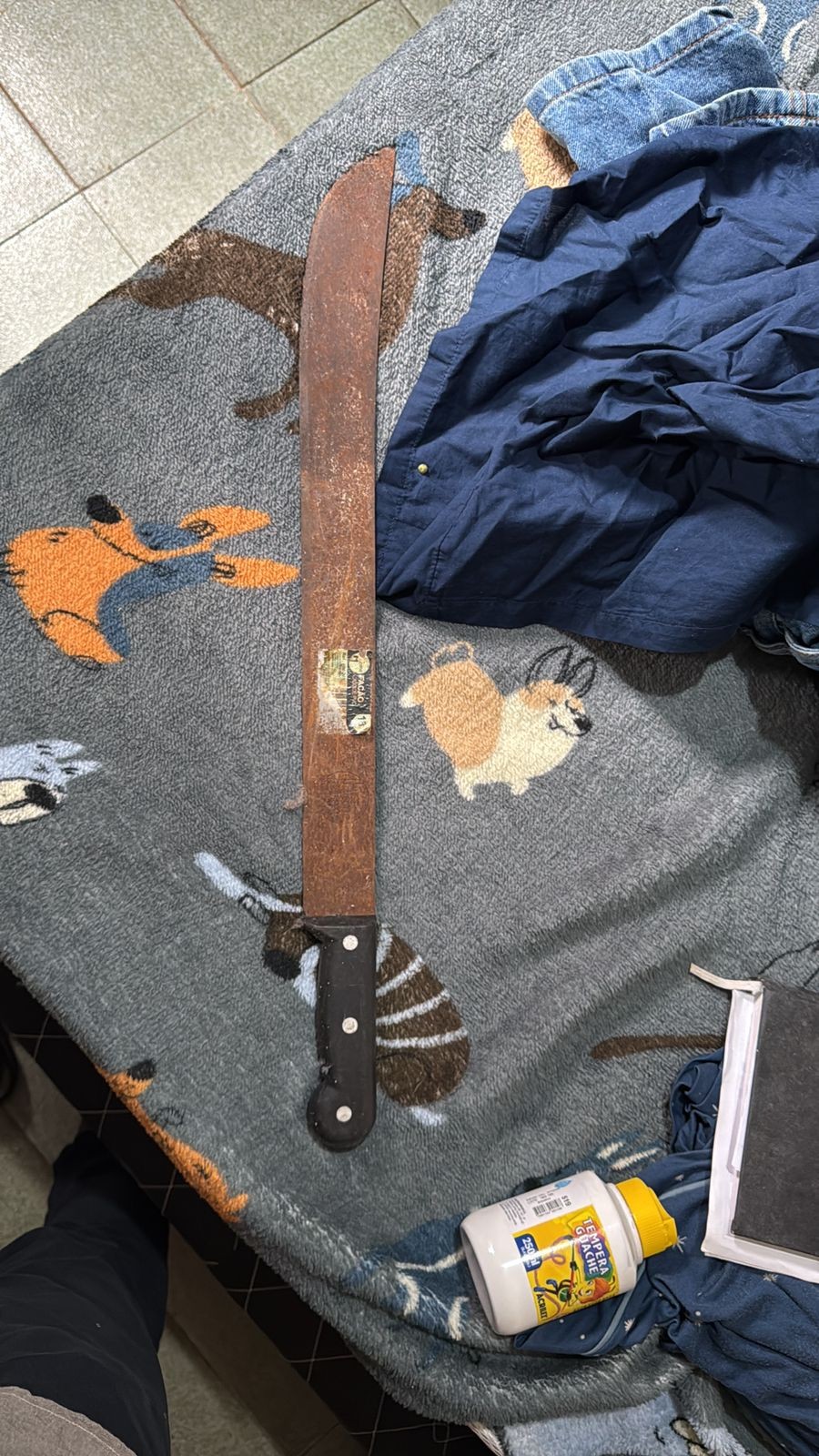 Polícia Federal prende em São Luís mulher suspeita de divulgar conteúdo extremista nas redes sociais