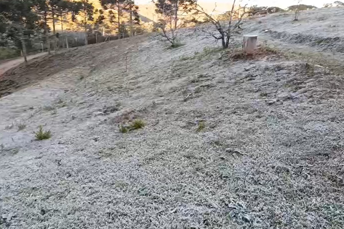 Vale do Paraíba entra em alerta para baixa umidade do ar; Serra da Mantiqueira tem risco de nova geada