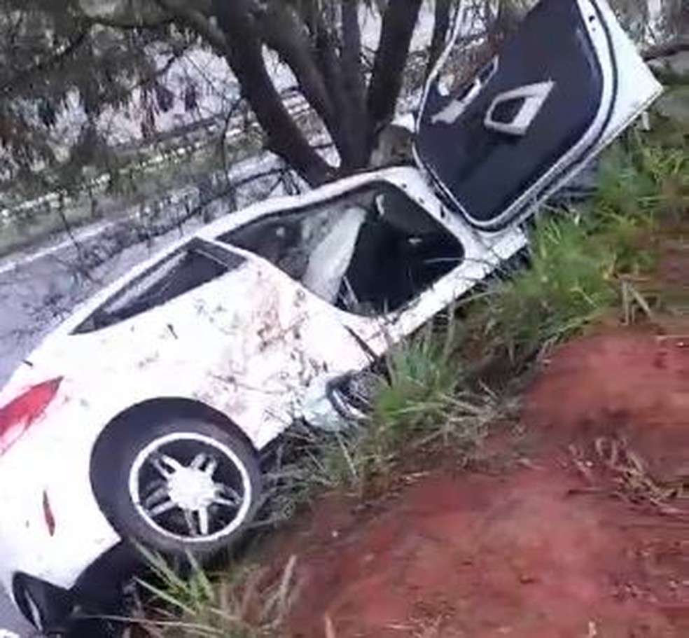 Carro atingiu árvore em barranco da SP-304, em Americana; motorista morreu — Foto: Fábio Junior dos Santos