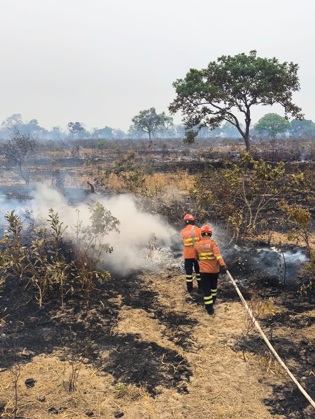 Pantanal: incêndio de grandes proporções mobiliza brigadistas para divisa entre MS e MT; veja vídeo