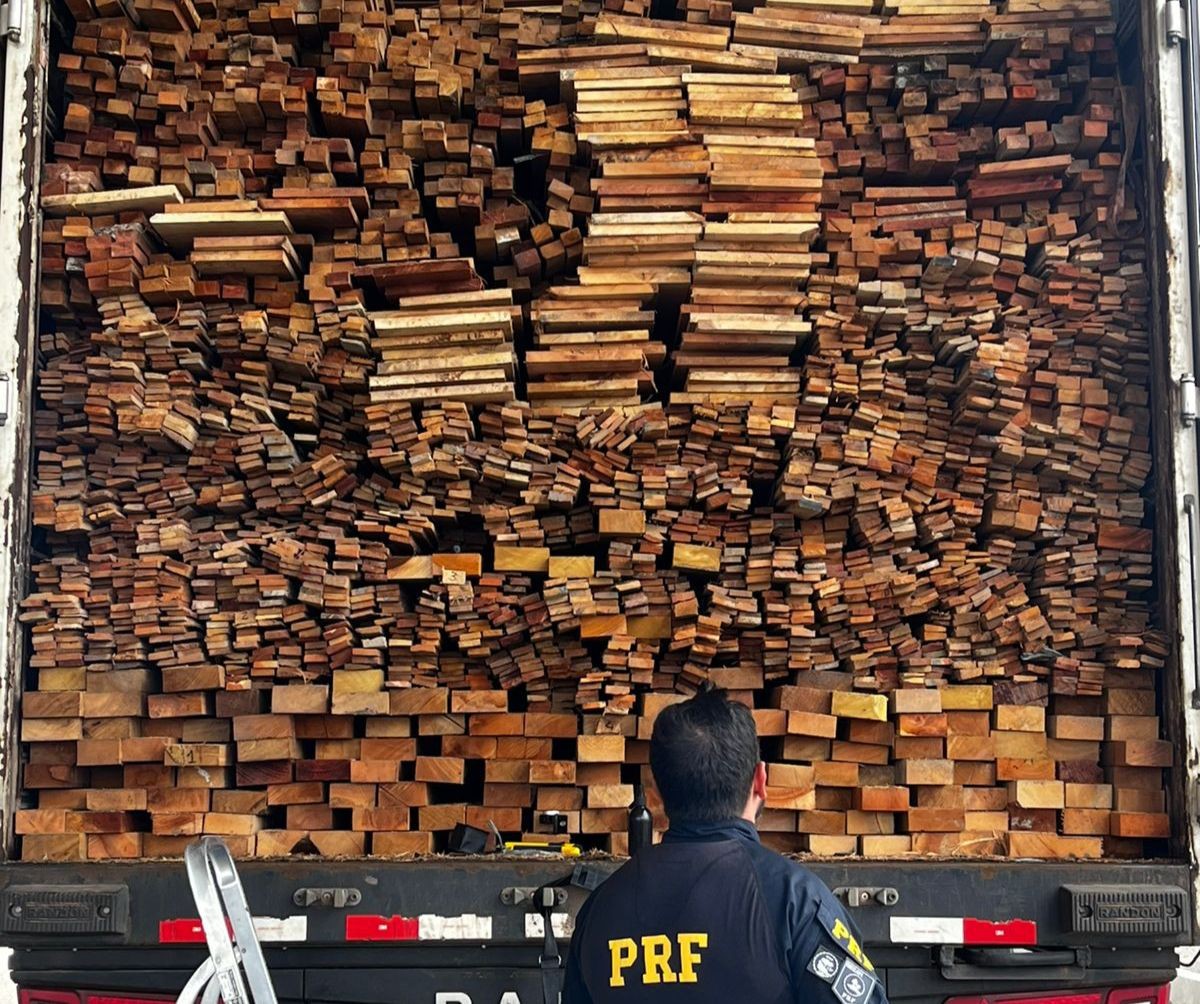 PRF apreende 337m³ de madeira ilegal nas rodovias do Sertão de Pernambuco