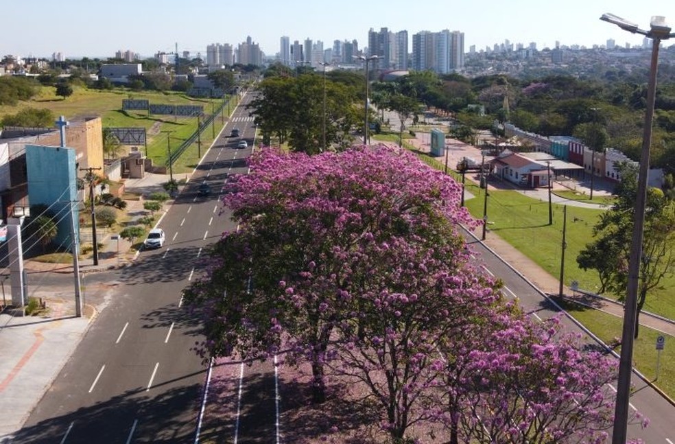 A umidade do ar pode chegar a 30% na maioria das regiões e 20% na área do Pantanal — Foto: Bruno Rezende/Arquivo