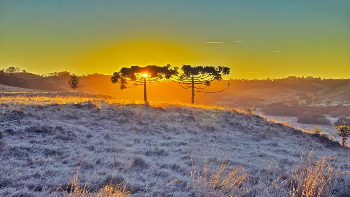 Massa de ar frio congela paisagem em SC e termômetros chegam a -7,7 °C; VÍDEO