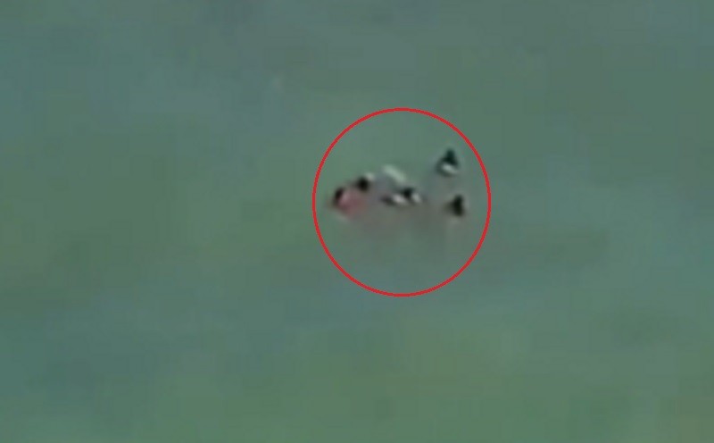 VÍDEO: bombeiros resgatam vítima de afogamento na Praia de Jacarecica, em Maceió