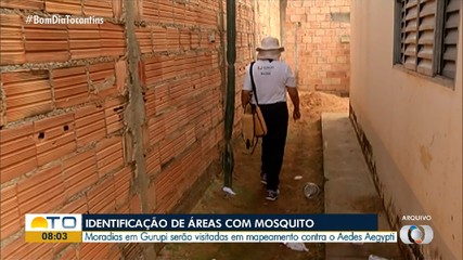 Mapeamento para identificar áreas com o mosquito Aedes Aegypti é realizado em Gurupi