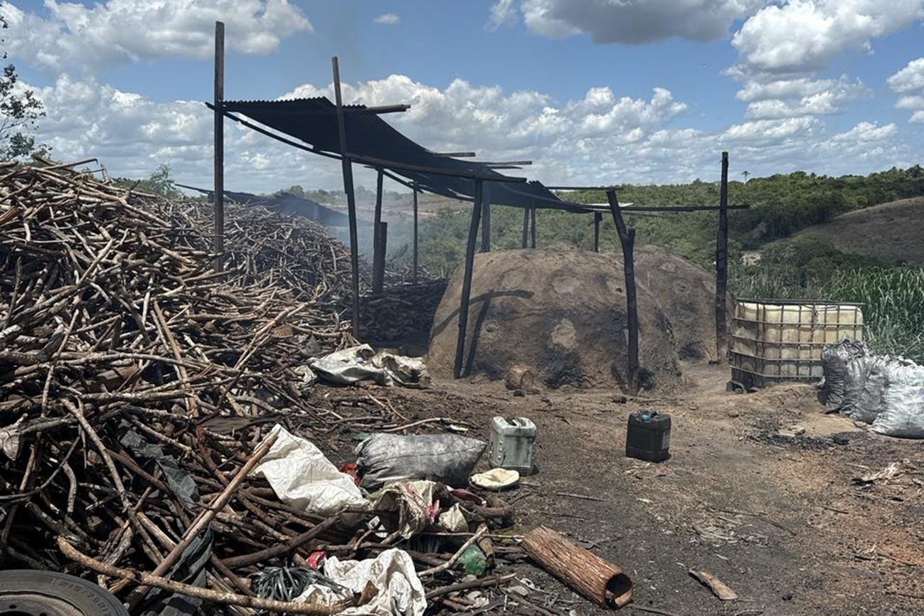 Operação desmancha carvoaria clandestina em Feira de Santana