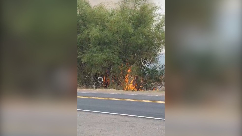 Dois homens são presos após atearem fogo em rodovia de Penápolis (SP) — Foto: Reprodução / WhatsApp
