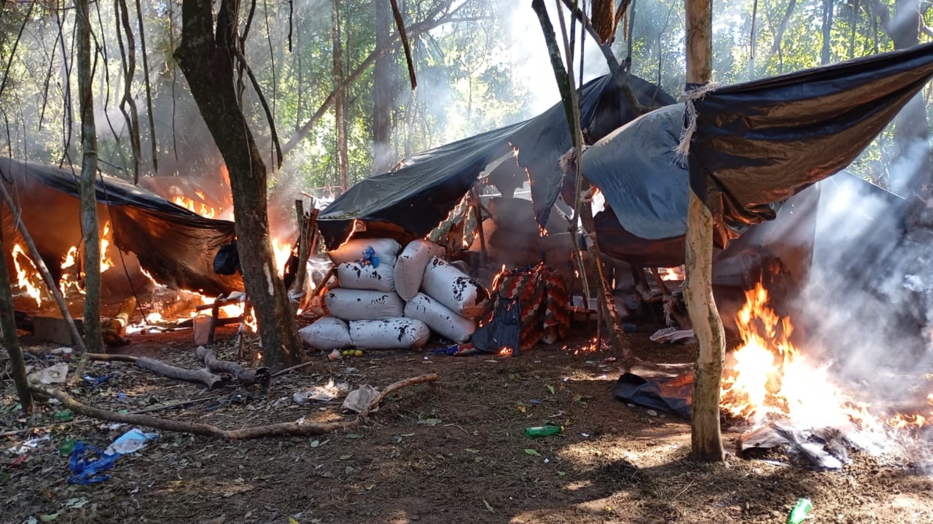 Brasil e Paraguai finalizam operação e destroem mil toneladas de maconha em 12 dias na fronteira
