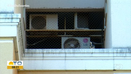 Moradores de prédios em Palmas fazem o que podem para evitar os pombos em casa